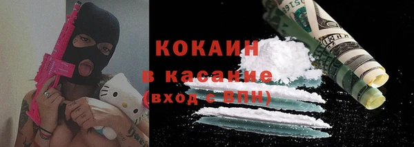 МДПВ Бородино