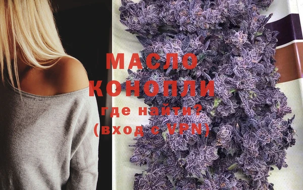 МДПВ Бородино