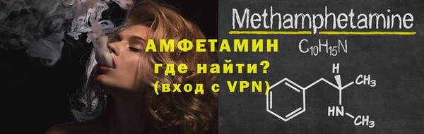 МДПВ Бородино