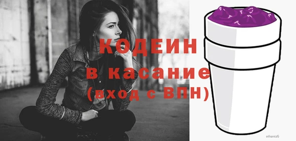 МДПВ Бородино