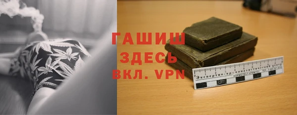 МДПВ Бородино