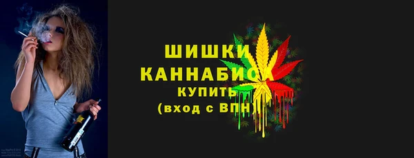МДПВ Бородино