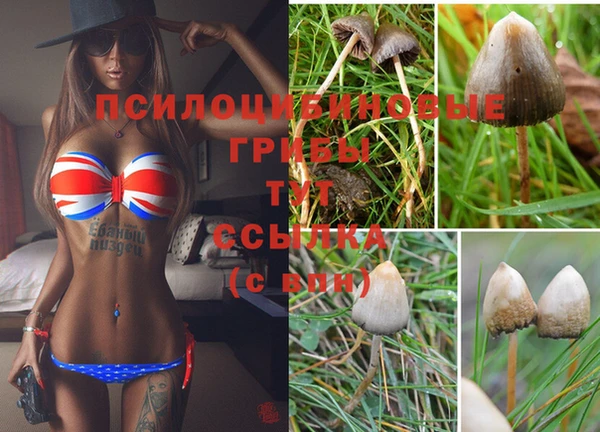 тгк Бугульма