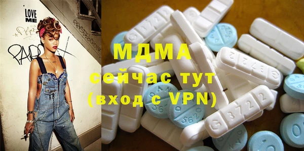 МДПВ Бородино