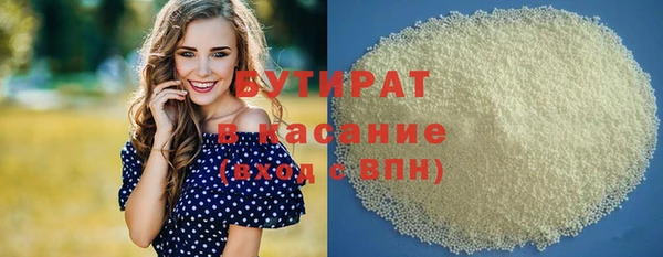 МДПВ Бородино